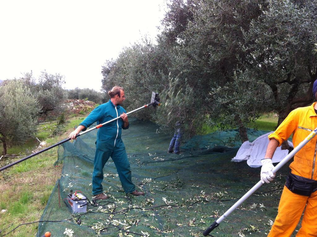 Agriturismo Casa Rosa Verona Luaran gambar