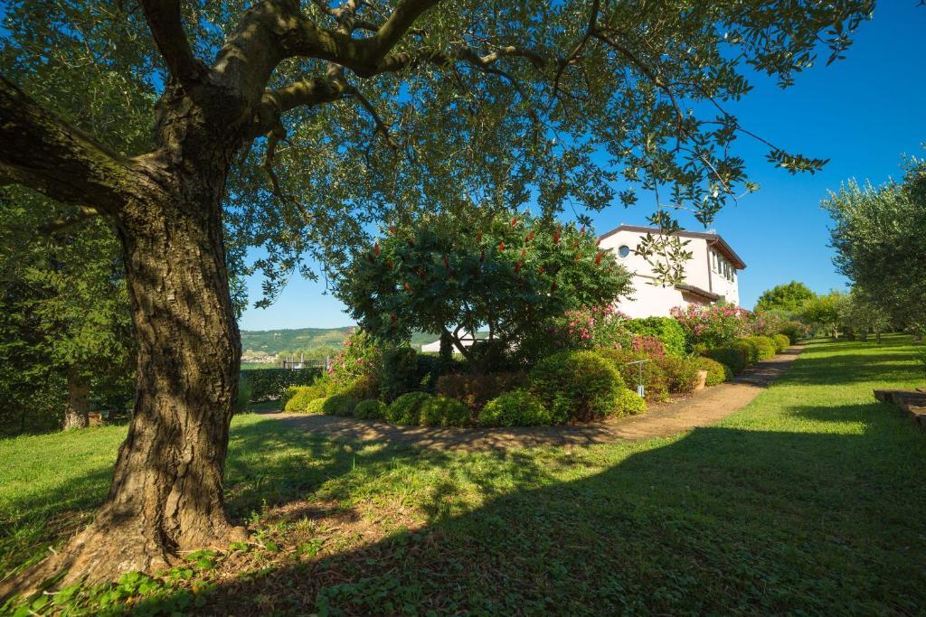 Agriturismo Casa Rosa Verona Luaran gambar